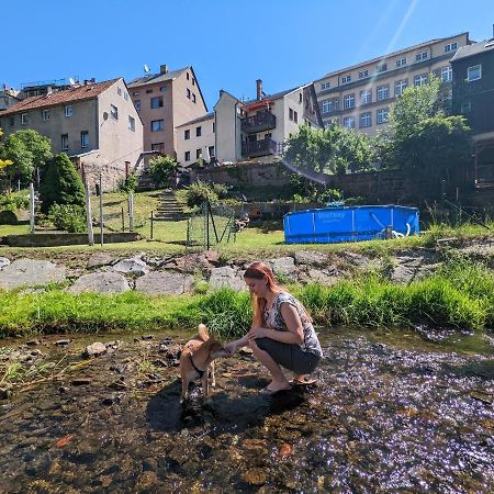 Апартаменти Urlaubstraum Mit Pool, Terrasse & Fluss Im Garten - Ut Зебніц Екстер'єр фото