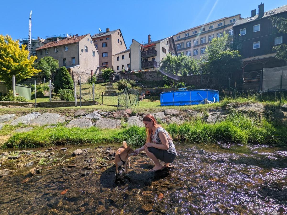 Апартаменти Urlaubstraum Mit Pool, Terrasse & Fluss Im Garten - Ut Зебніц Екстер'єр фото