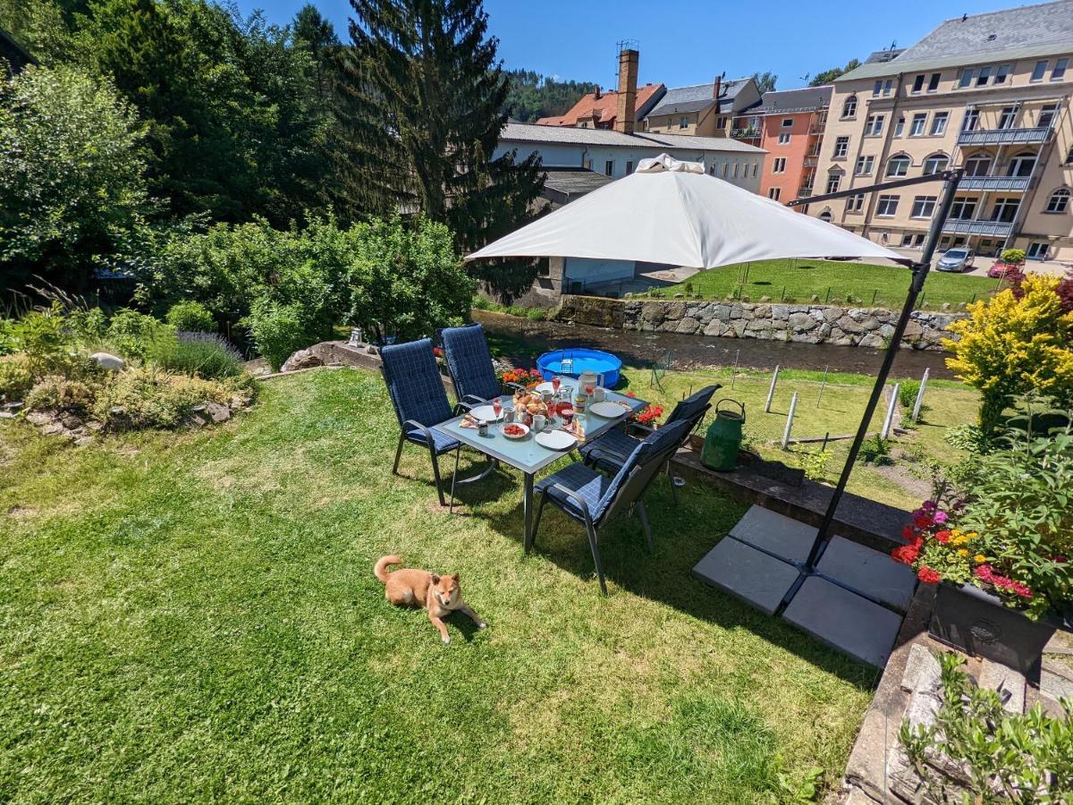 Апартаменти Urlaubstraum Mit Pool, Terrasse & Fluss Im Garten - Ut Зебніц Екстер'єр фото